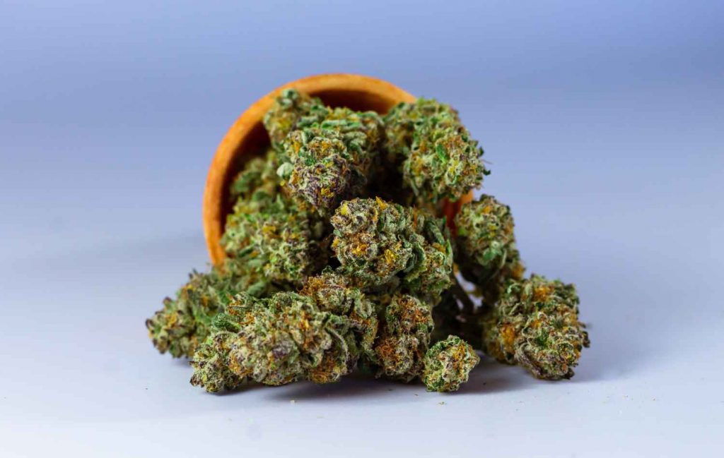 Medical Cannabis Pharmacy