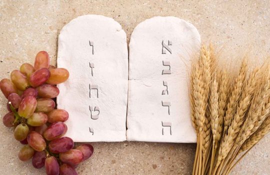 יודאיקה ותשמישי קדושה2