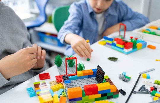 חנות משחקי לגו ופליימוביל2